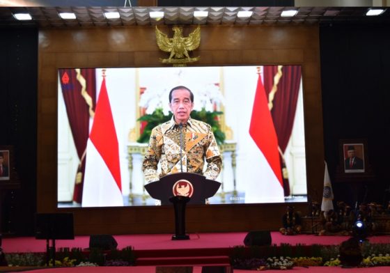 Summer Nights at the  Library